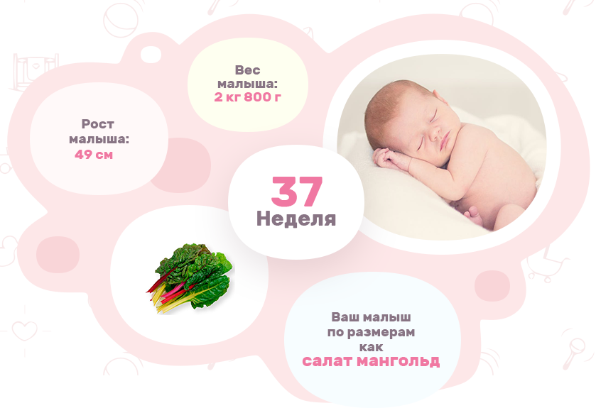 Ребенок активный 37 недель. Pregnancy надпись. Беременность 37 неделя картинка ребенка и органов.