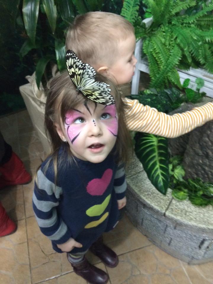 В Кишиневе можно любоваться тропическими бабочками