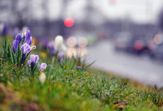 Дожди и грозы ожидаются 30 марта в Молдове