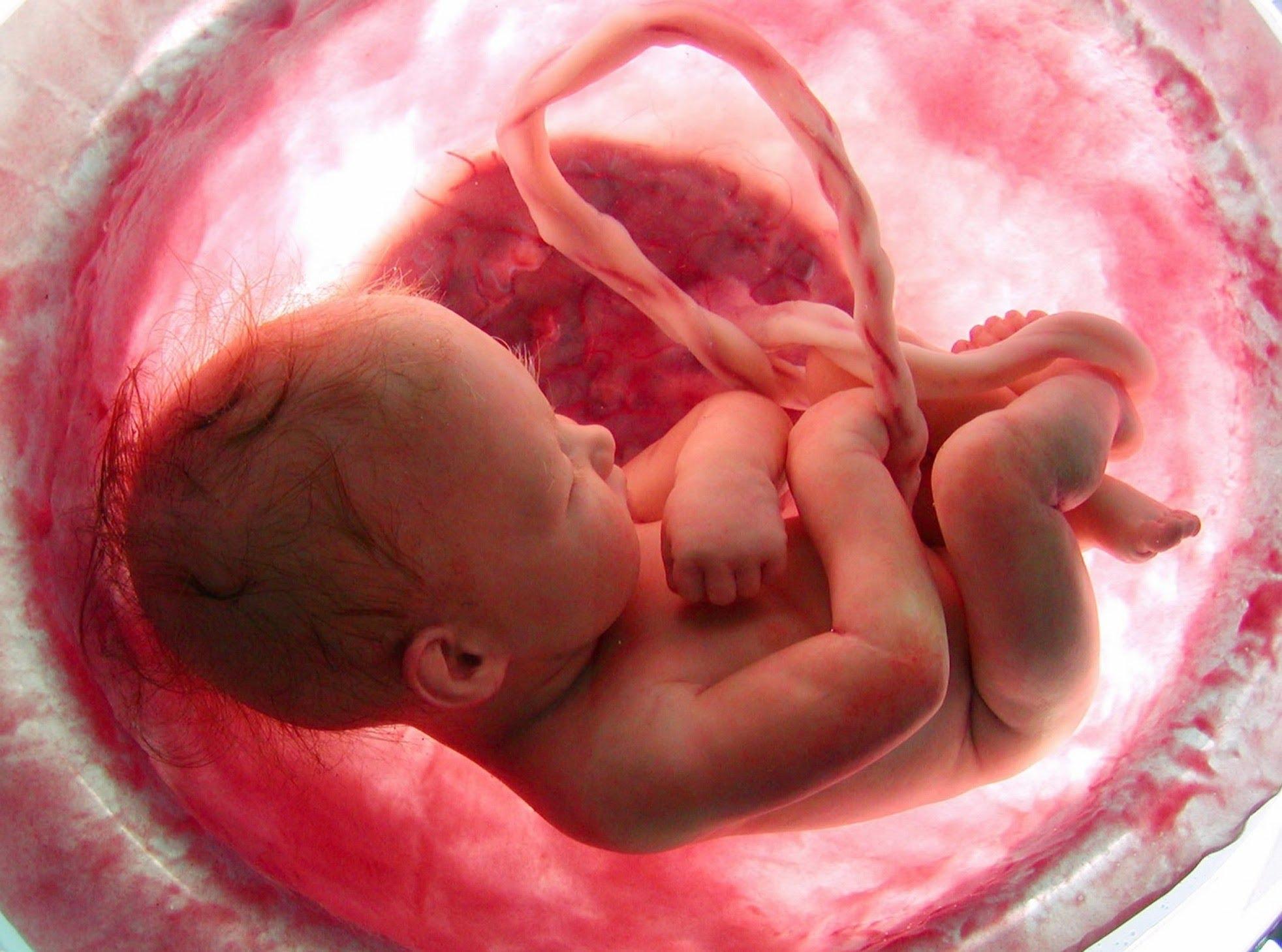 Nașterea: ce se întâmplă cu copilul în timpul contracțiilor și împingerii