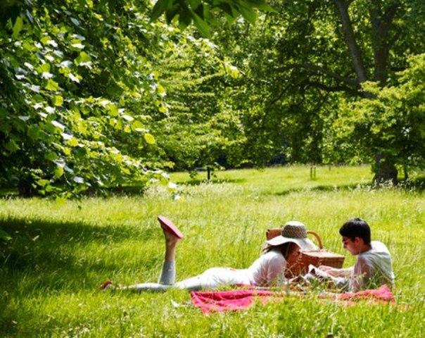 "Молдсилва" рекомендует две недели не отдыхать в лесах