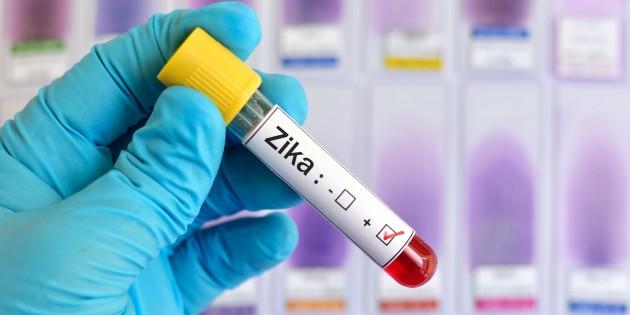 ВОЗ предсказала распространение вируса Зика в Европе этим летом