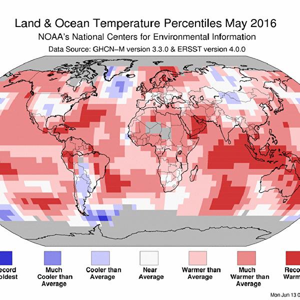 Климатологи: май 2016 года стал самым жарким за всю историю наблюдений
