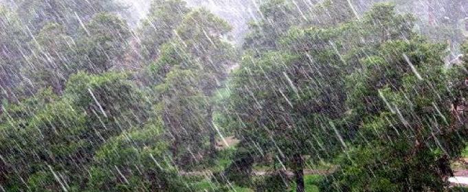 Синоптики прогнозируют в Молдове сильные дожди
