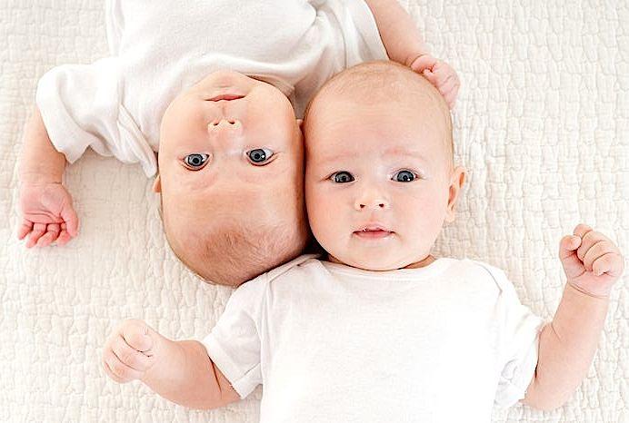 Рождение близнецов: какова вероятность?