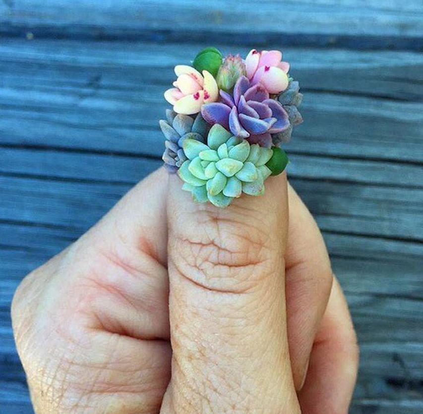 Новый бьюти-тренд — живые цветы на ногтях