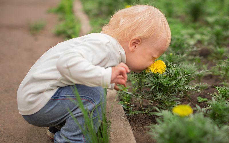 До пяти лет запахи не влияют на поведение детей