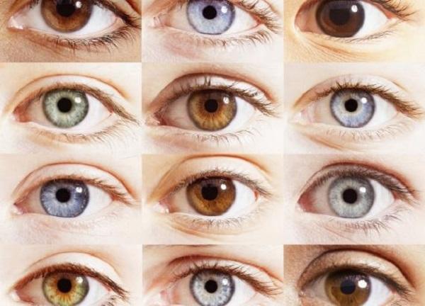 Ученые раскрыли, какой цвет глаз сопутствует успеху