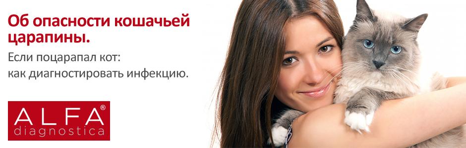 Чем опасна болезнь кошачьей царапины?