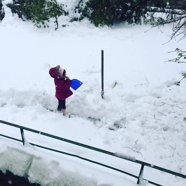 Lilu a ieșit împreună cu familia la curățat zăpada