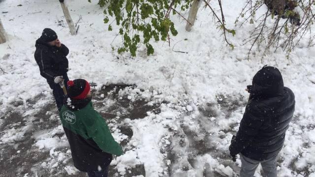 Lilu a ieșit împreună cu familia la curățat zăpada