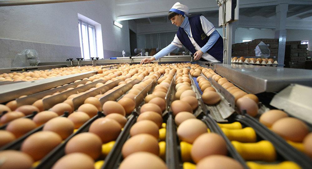 Scandalul ouălelor contaminate cu insecticid; Câte ouă importă Republica Moldova