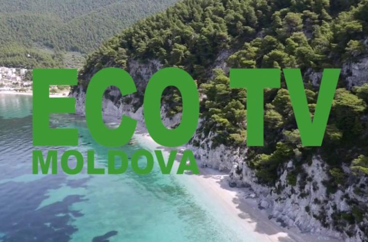 В Молдове появится новый телеканал