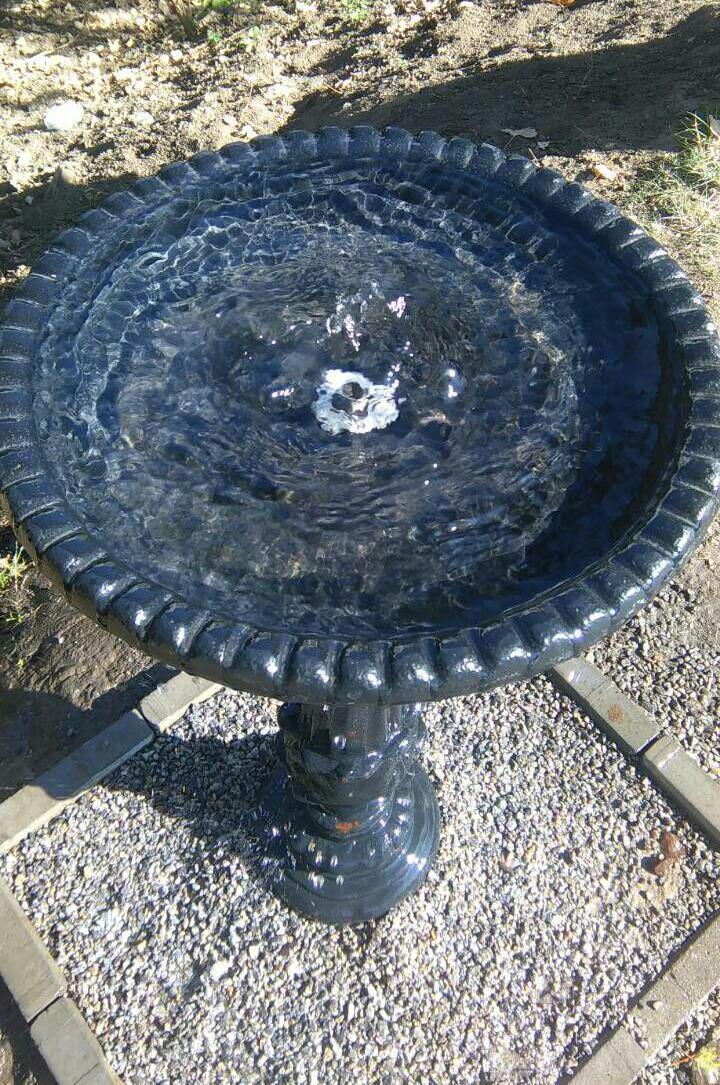 Питьевые фонтанчики в парке Валя Морилор подверглись нападению вандалов: фото