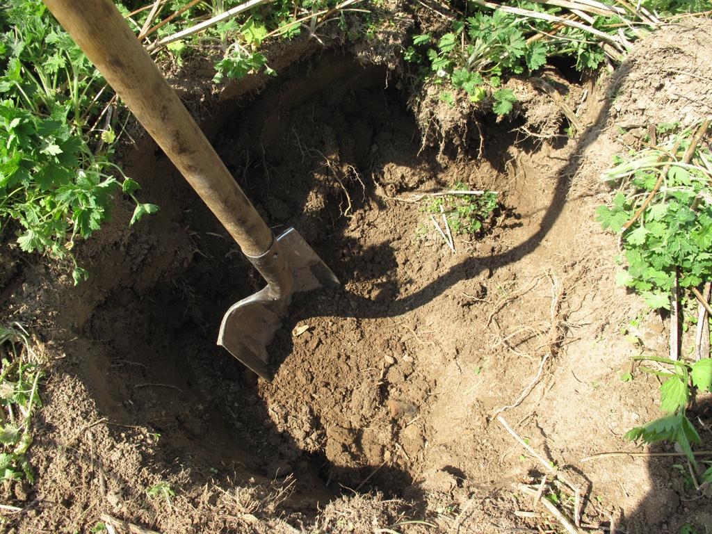В Дондюшанах 14-летнего подростка похитили и заставили копать себе могилу