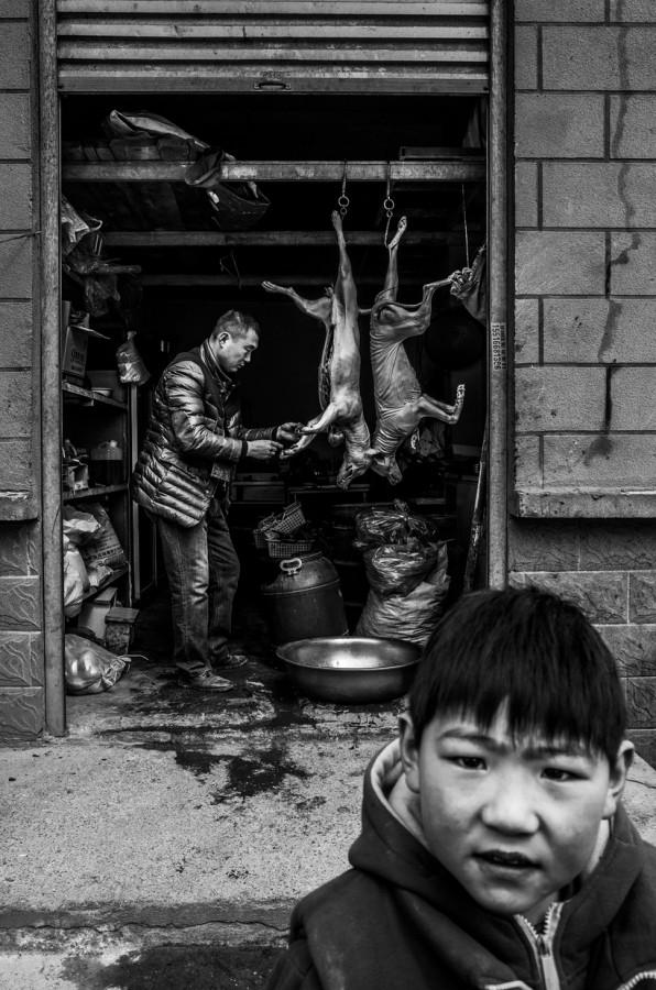 20 de fotografii șocante despre viața copiilor din diverse colțuri ale lumii. Emoții și lacrimi!