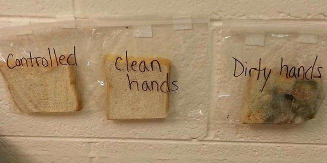 Как объяснить детям важность мытья рук при помощи трёх ломтиков хлеба