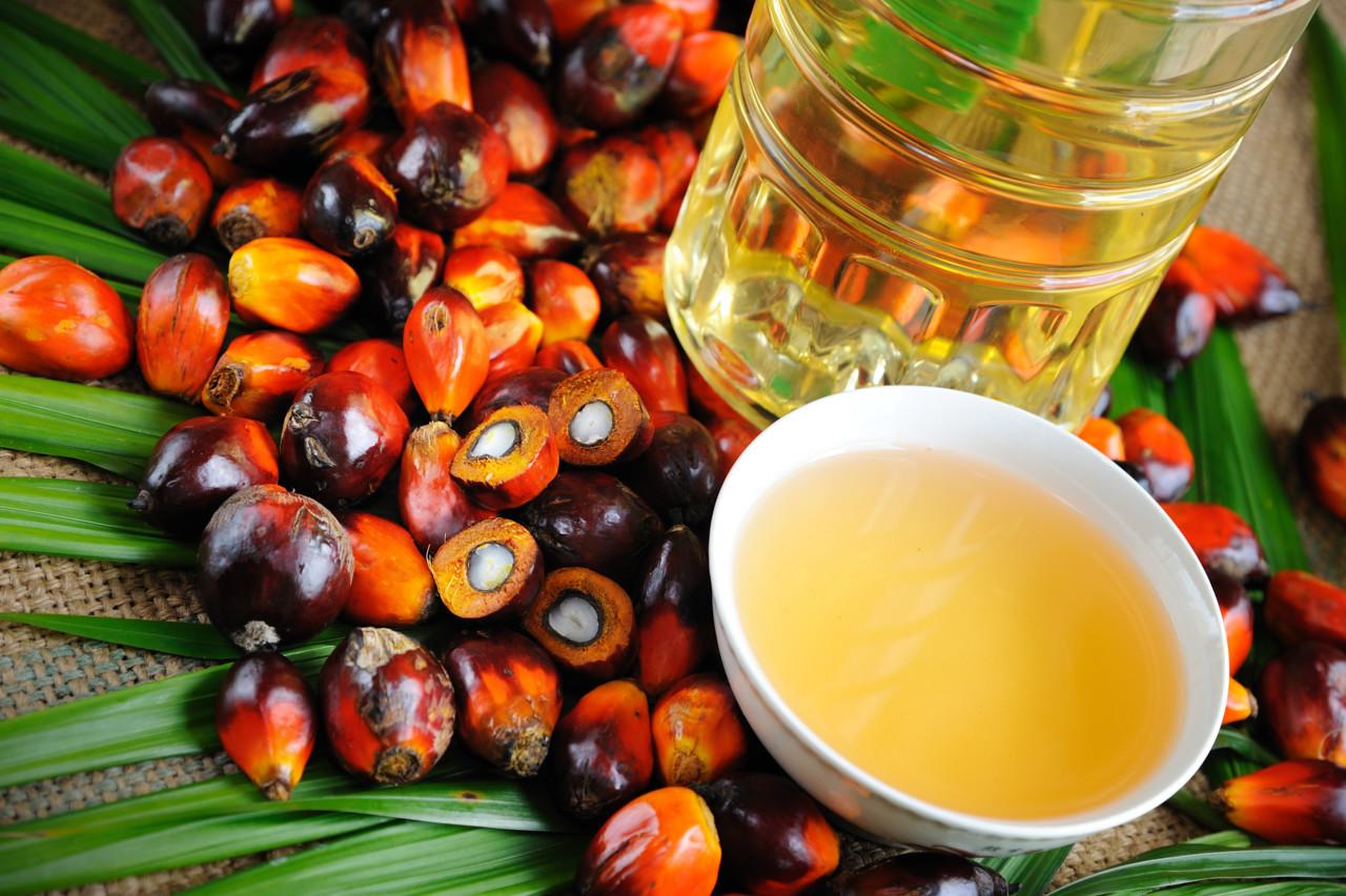 Tot ce nu știai despre uleiul de palmier și siropul de porumb