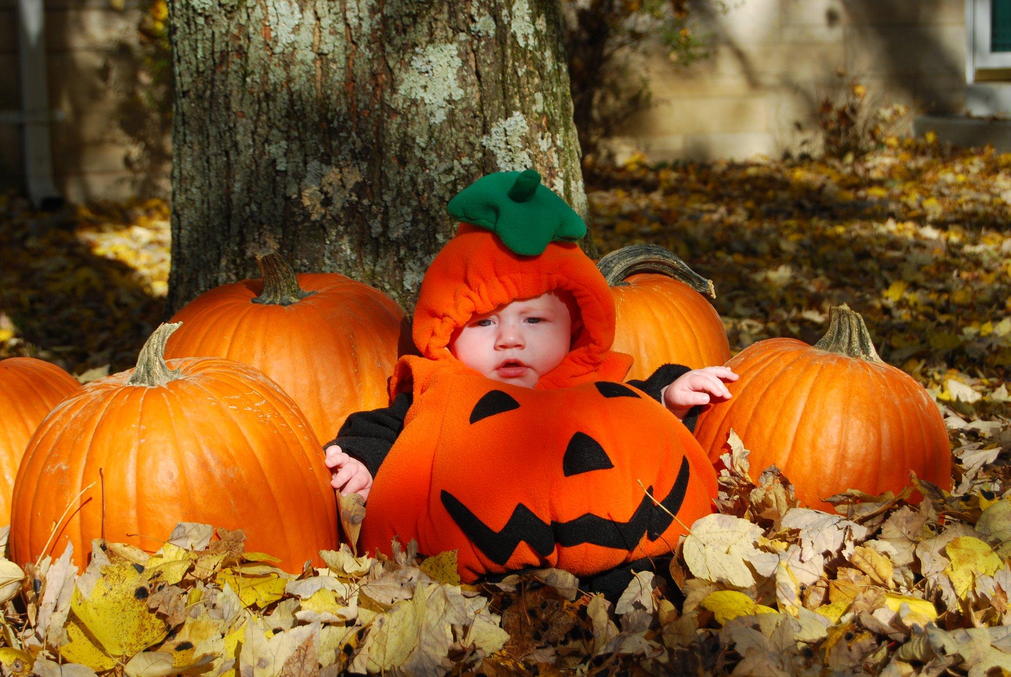 Осенний праздник тыквы. Тыква Хэллоуин. Хэллоуин для детей. Осенняя фотосессия с тыквами. Костюм тыквы на Хэллоуин.