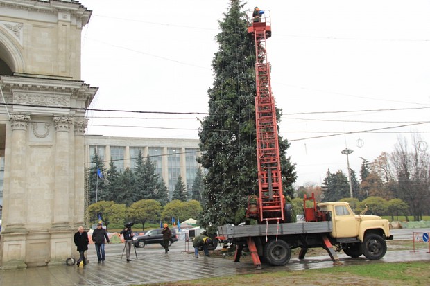 Pomul de Crăciun va fi inaugurat pe 1 decembrie