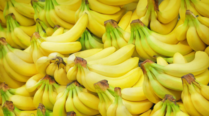 Скоро бананы могут исчезнуть с наших прилавков, и вот почему!