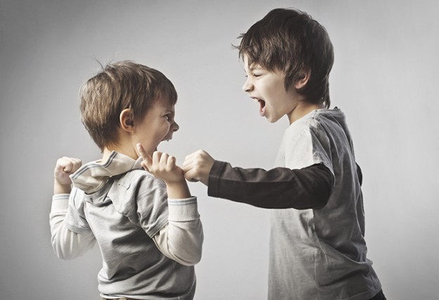 Cum ții în frâu rivalitatea dintre frați