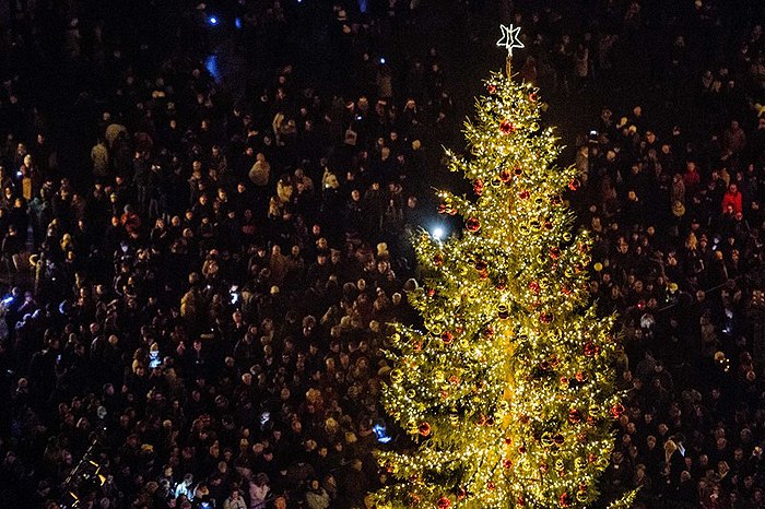 Bradul din Orhei, într-un top cu cei mai frumoși pomi de Crăciun din lume