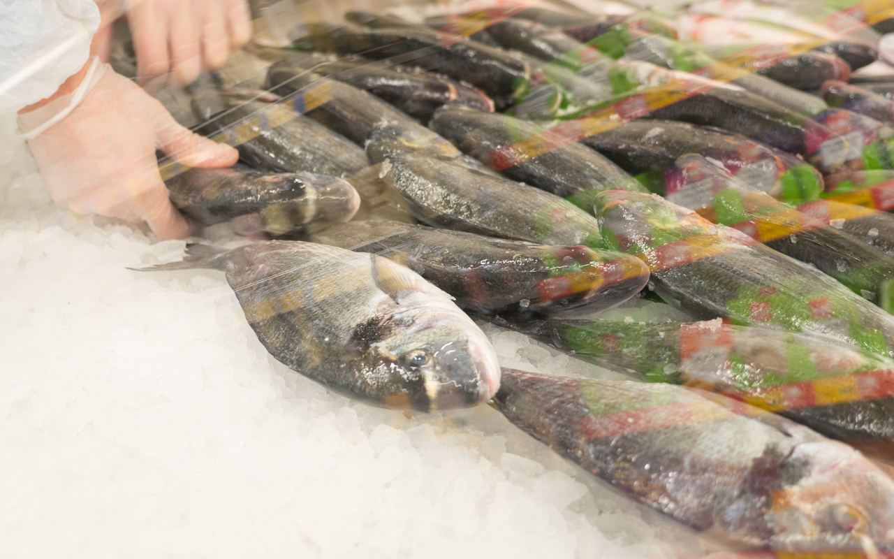 Ocean Fish aduce și la Orhei pește de calitate din toate oceanele lumii