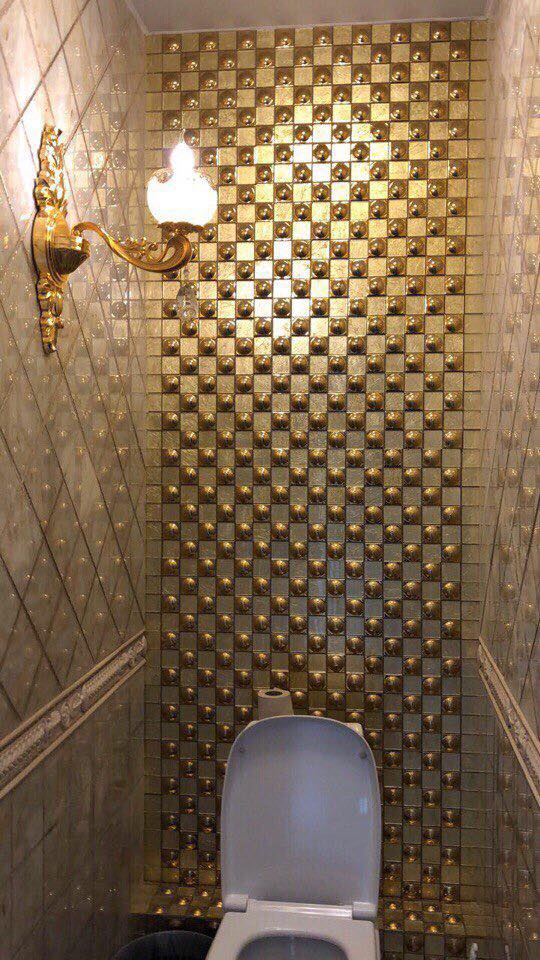 Profesorii unei universități au o toaletă din aur