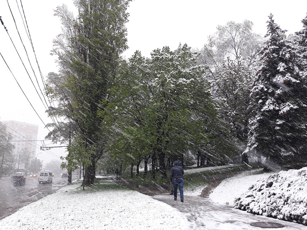 Вслед за снегопадами в Молдову придут морозы до -14°C