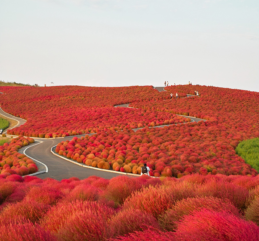 Cele mai frumoase locuri de pe Pământ colorate de toamnă