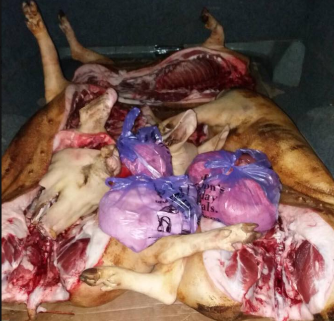 Peste o tonă de carne de porc şi peşte, transportate în condiţii antisanitare la Piaţa Centrală