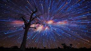 Известной журналистке Виктории Крюковой завязали глаза и вывезли за город