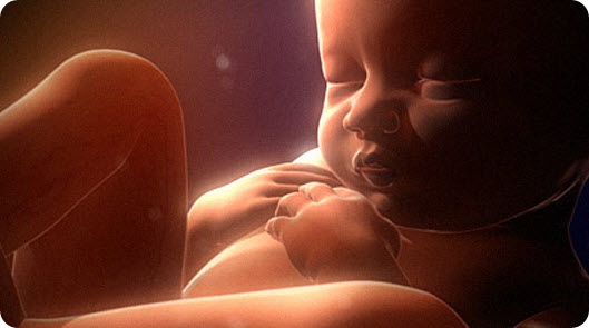 Abilități uimitoare ale fătului în uterul mamei