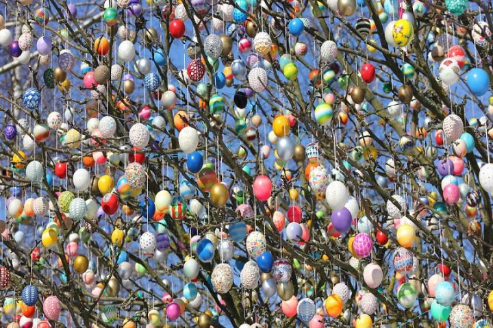 Невероятный поступок в преддверии Пасхи: семья из Германии украсила дерево тысячами яиц!