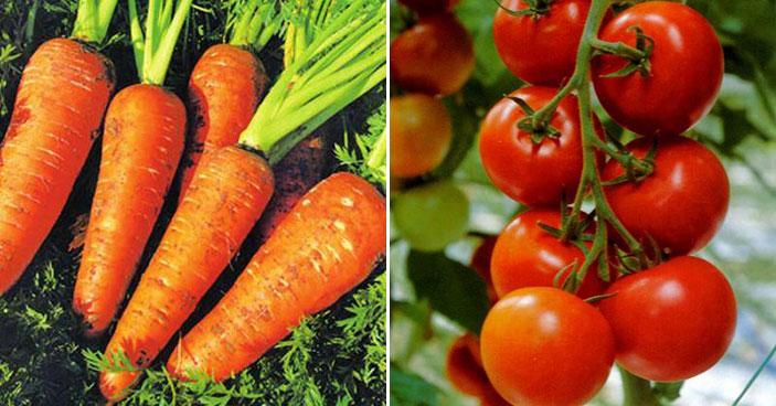 Nu este sănătos să mănânci crude roșia și morcovul! Află motivul!
