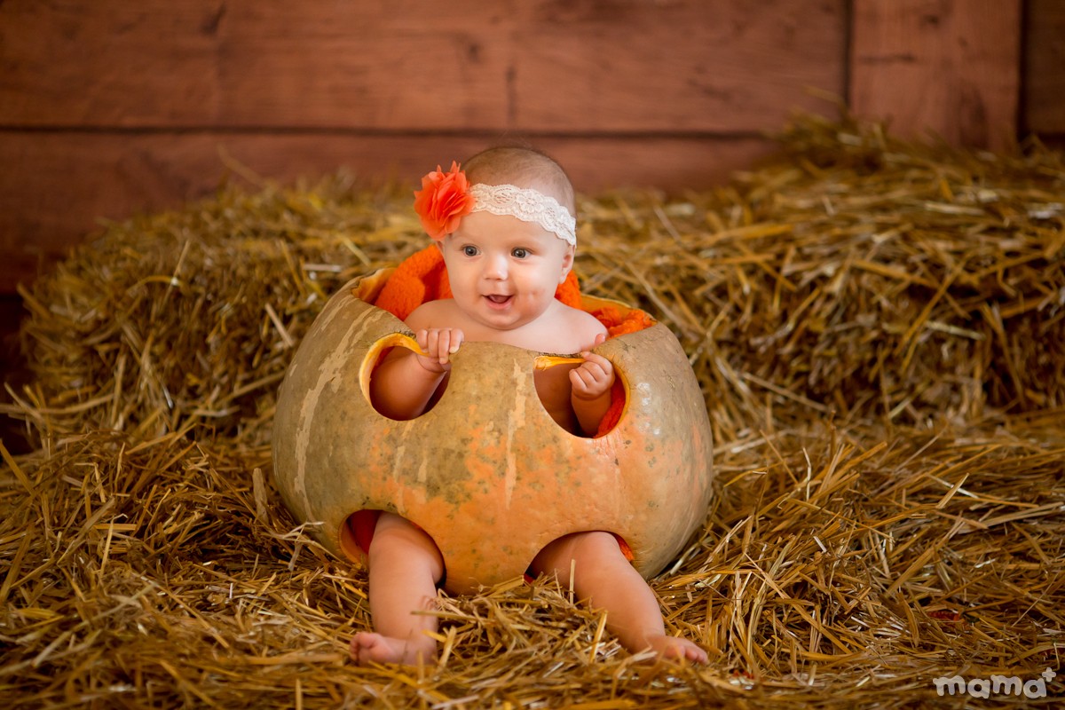 Pumpkin's story