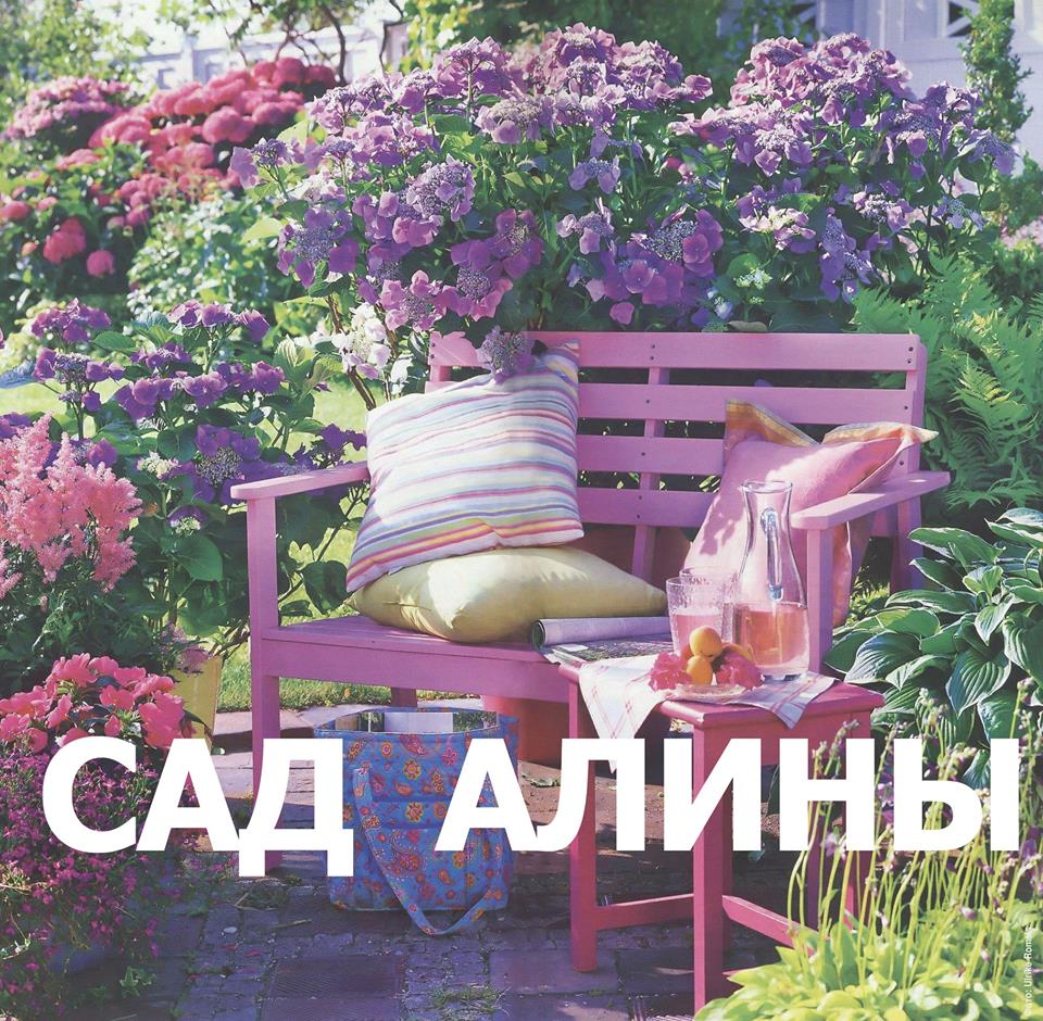 Сад Алины: Создадим вместе цветочный сад в память об Алине Царуш