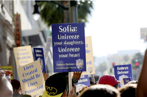 Противники абортов устроили митинг против актрисы Софии Вергары