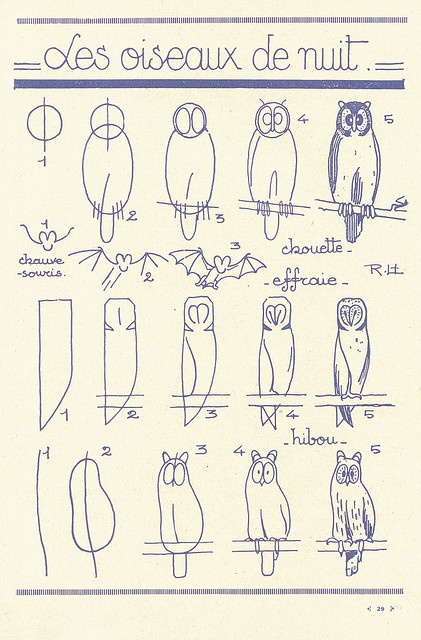 Простые схемы, с которыми вам и ребенку легко удастся рисовать птиц и животных