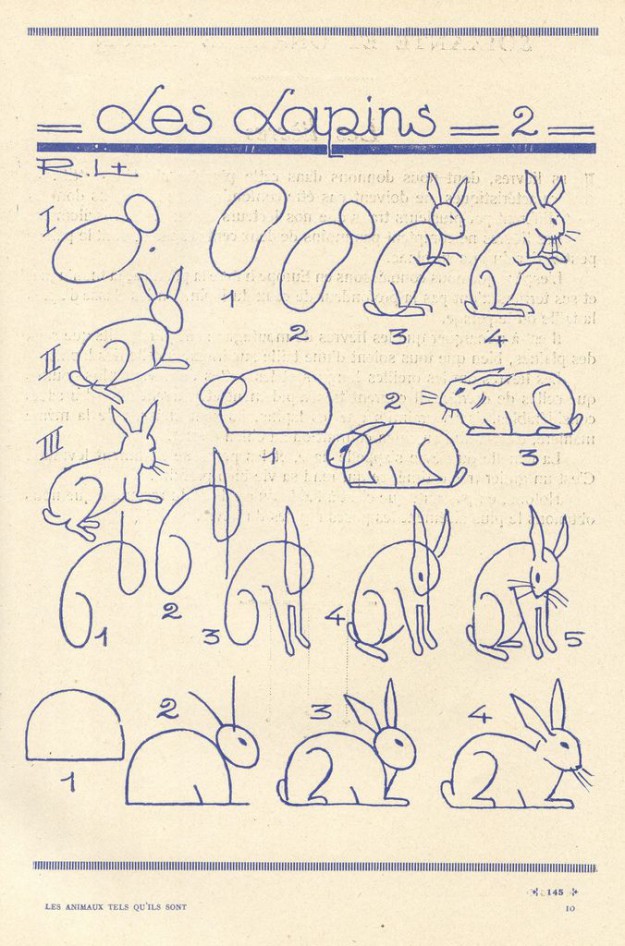 Простые схемы, с которыми вам и ребенку легко удастся рисовать птиц и животных