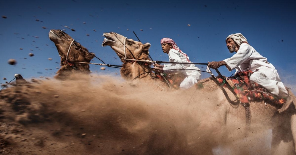 25 лучших фотографий National Geographic 2015