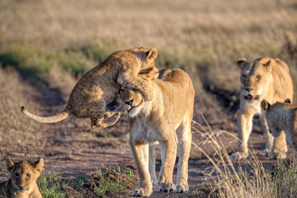 25 лучших фотографий National Geographic 2015