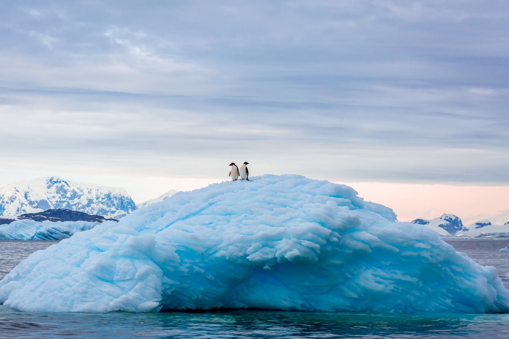 25 лучших фотографий National Geographic 2015