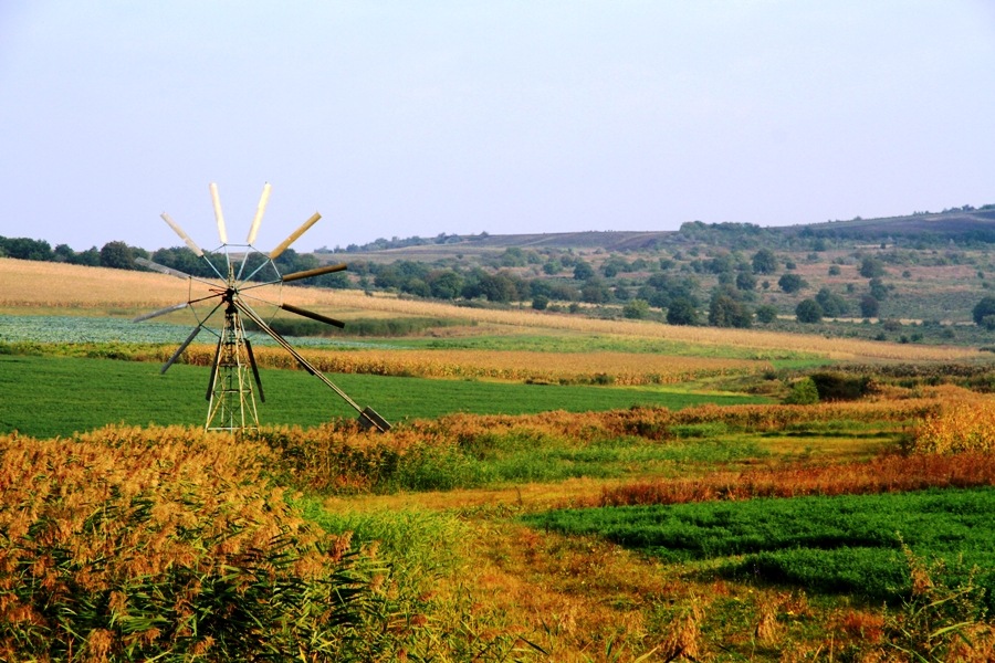 Молдавские синоптики прогнозируют засушливую осень