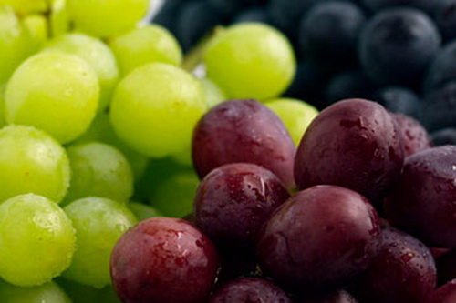 Анализ цен: сколько стоит килограмм столового винограда