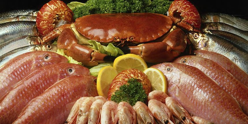 Полезные свойства рыбы и морепродуктов