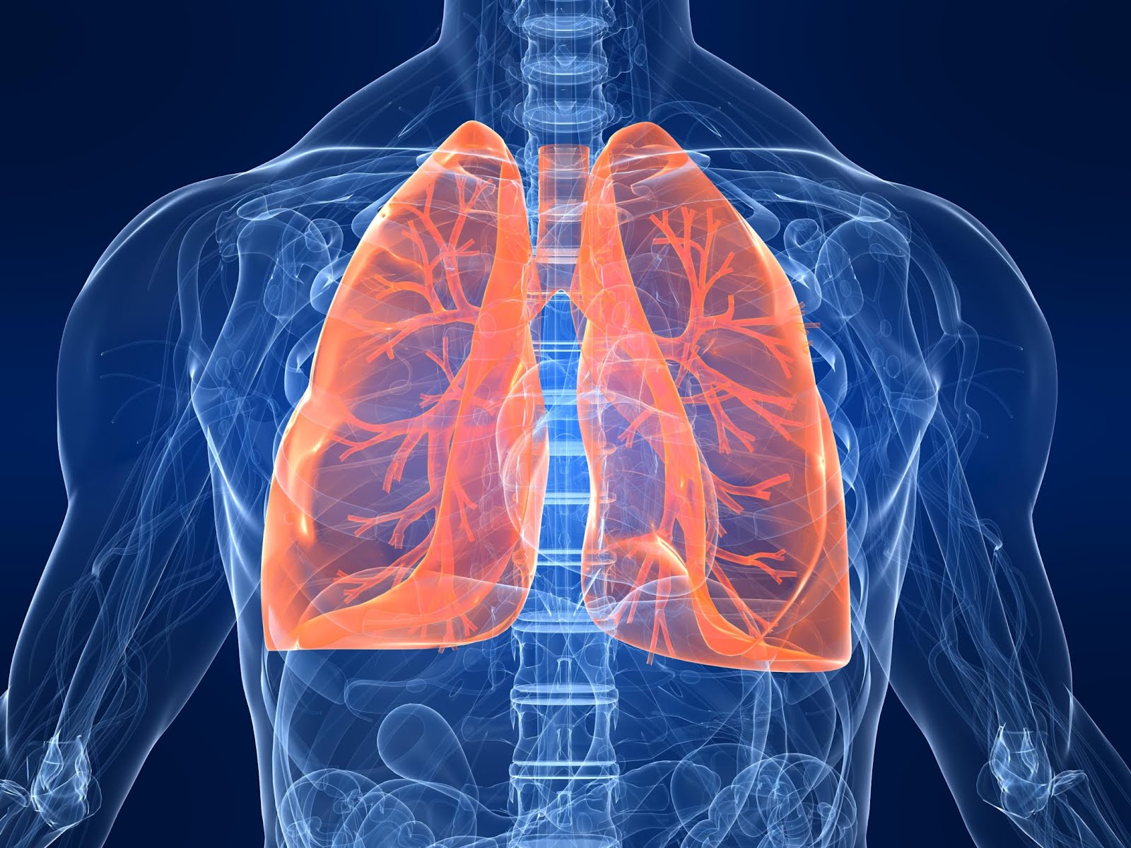 Alimentul care ucide 85% din celulele cancerului pulmonar