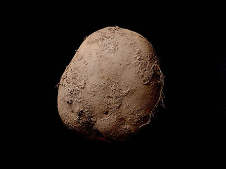 O fotografie a unui cartof, vândută cu 1 milion de euro de Kevin Abosch