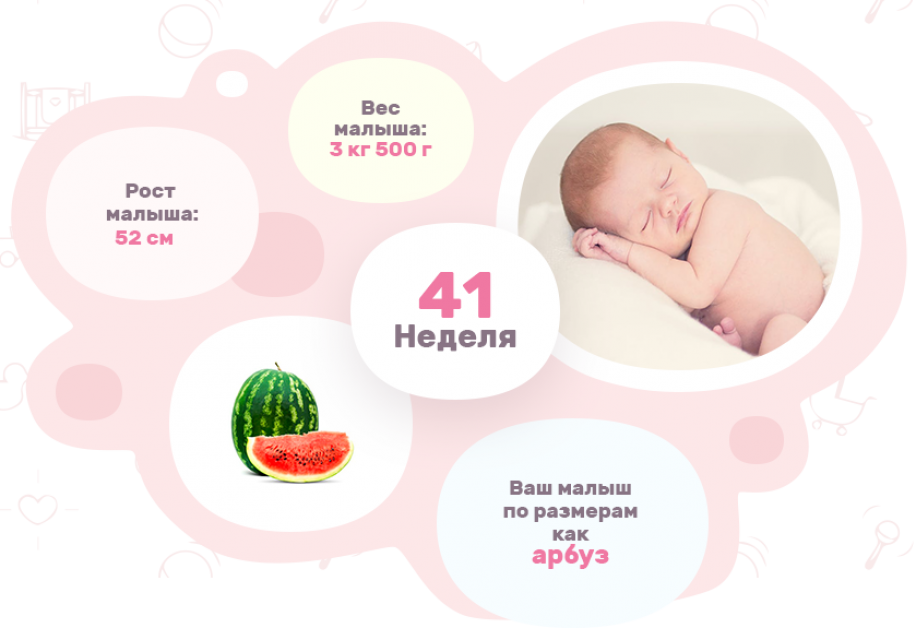     41   -  BabyBlog -    